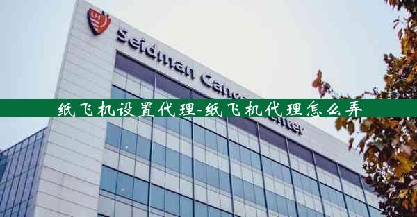 纸飞机设置代理-纸飞机代理怎么弄