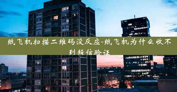 纸飞机扫描二维码没反应-纸飞机为什么收不到短信验证