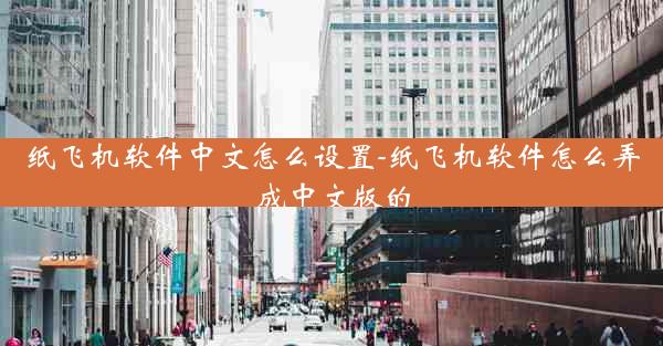 纸飞机软件中文怎么设置-纸飞机软件怎么弄成中文版的