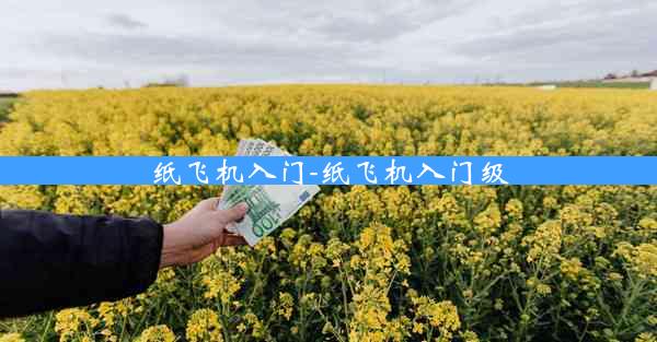 纸飞机入门-纸飞机入门级