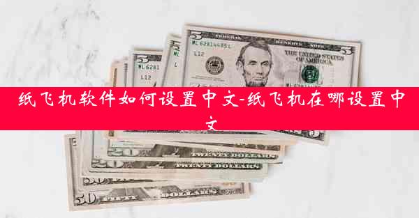 纸飞机软件如何设置中文-纸飞机在哪设置中文