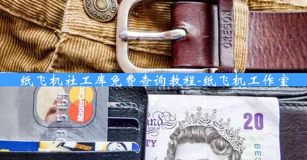 纸飞机社工库免费查询教程-纸飞机工作室