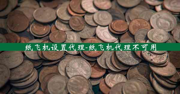 纸飞机设置代理-纸飞机代理不可用