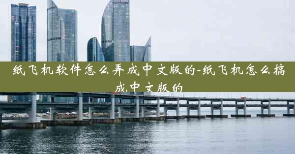 纸飞机软件怎么弄成中文版的-纸飞机怎么搞成中文版的