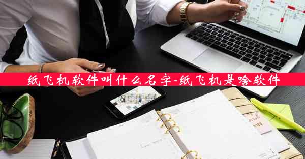 纸飞机软件叫什么名字-纸飞机是啥软件