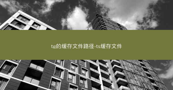 tg的缓存文件路径-ts缓存文件