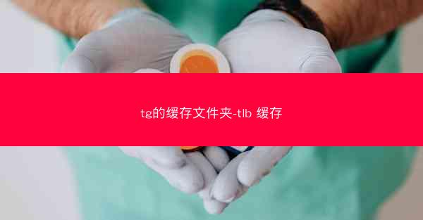 tg的缓存文件夹-tlb 缓存