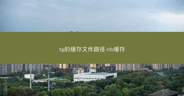 tg的缓存文件路径-tlb缓存