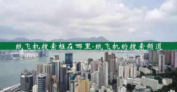 纸飞机搜索框在哪里-纸飞机的搜索频道