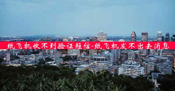 纸飞机收不到验证短信-纸飞机发不出去消息
