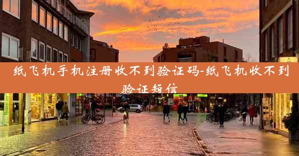 纸飞机手机注册收不到验证码-纸飞机收不到验证短信