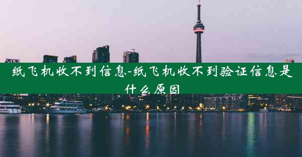 纸飞机收不到信息-纸飞机收不到验证信息是什么原因