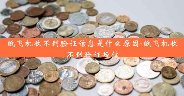 纸飞机收不到验证信息是什么原因-纸飞机收不到验证短信