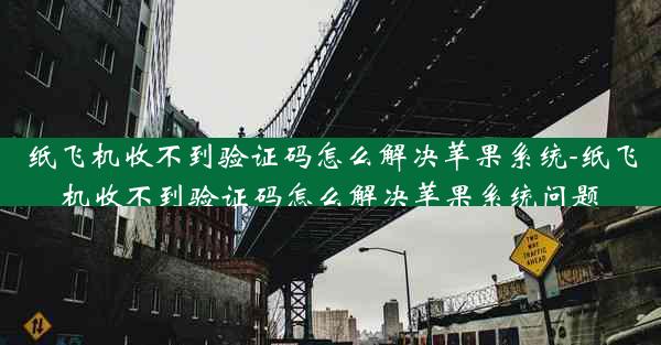 纸飞机收不到验证码怎么解决苹果系统-纸飞机收不到验证码怎么解决苹果系统问题