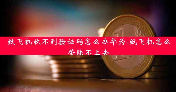 纸飞机收不到验证码怎么办华为-纸飞机怎么登陆不上去