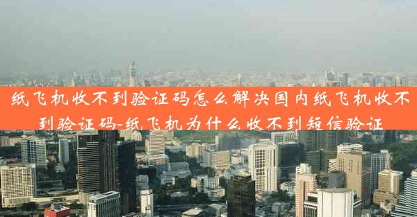 纸飞机收不到验证码怎么解决国内纸飞机收不到验证码-纸飞机为什么收不到短信验证