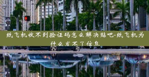 纸飞机收不到验证码怎么解决贴吧-纸飞机为什么发不了信息