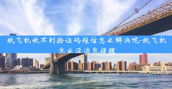 纸飞机收不到验证码短信怎么解决呢-纸飞机怎么没消息提醒