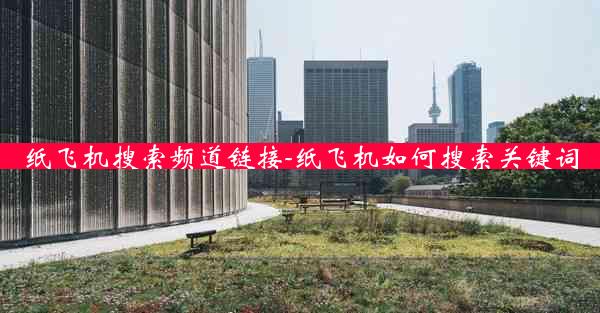 纸飞机搜索频道链接-纸飞机如何搜索关键词