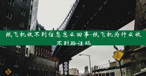 纸飞机收不到信息怎么回事-纸飞机为什么收不到验证码