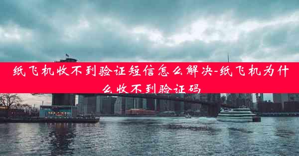 纸飞机收不到验证短信怎么解决-纸飞机为什么收不到验证码