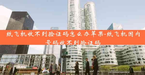 纸飞机收不到验证码怎么办苹果-纸飞机国内号码收不到验证码