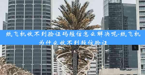 纸飞机收不到验证码短信怎么解决呢-纸飞机为什么收不到短信验证