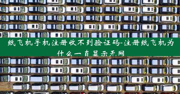 纸飞机手机注册收不到验证码-注册纸飞机为什么一直显示无网