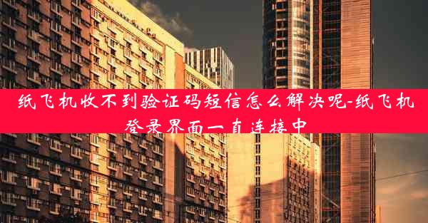 纸飞机收不到验证码短信怎么解决呢-纸飞机登录界面一直连接中