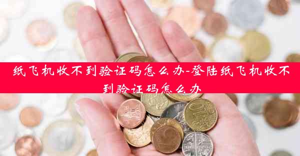 纸飞机收不到验证码怎么办-登陆纸飞机收不到验证码怎么办
