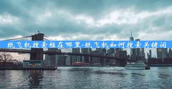 纸飞机搜索框在哪里-纸飞机如何搜索关键词