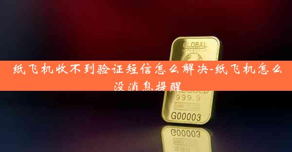 纸飞机收不到验证短信怎么解决-纸飞机怎么没消息提醒